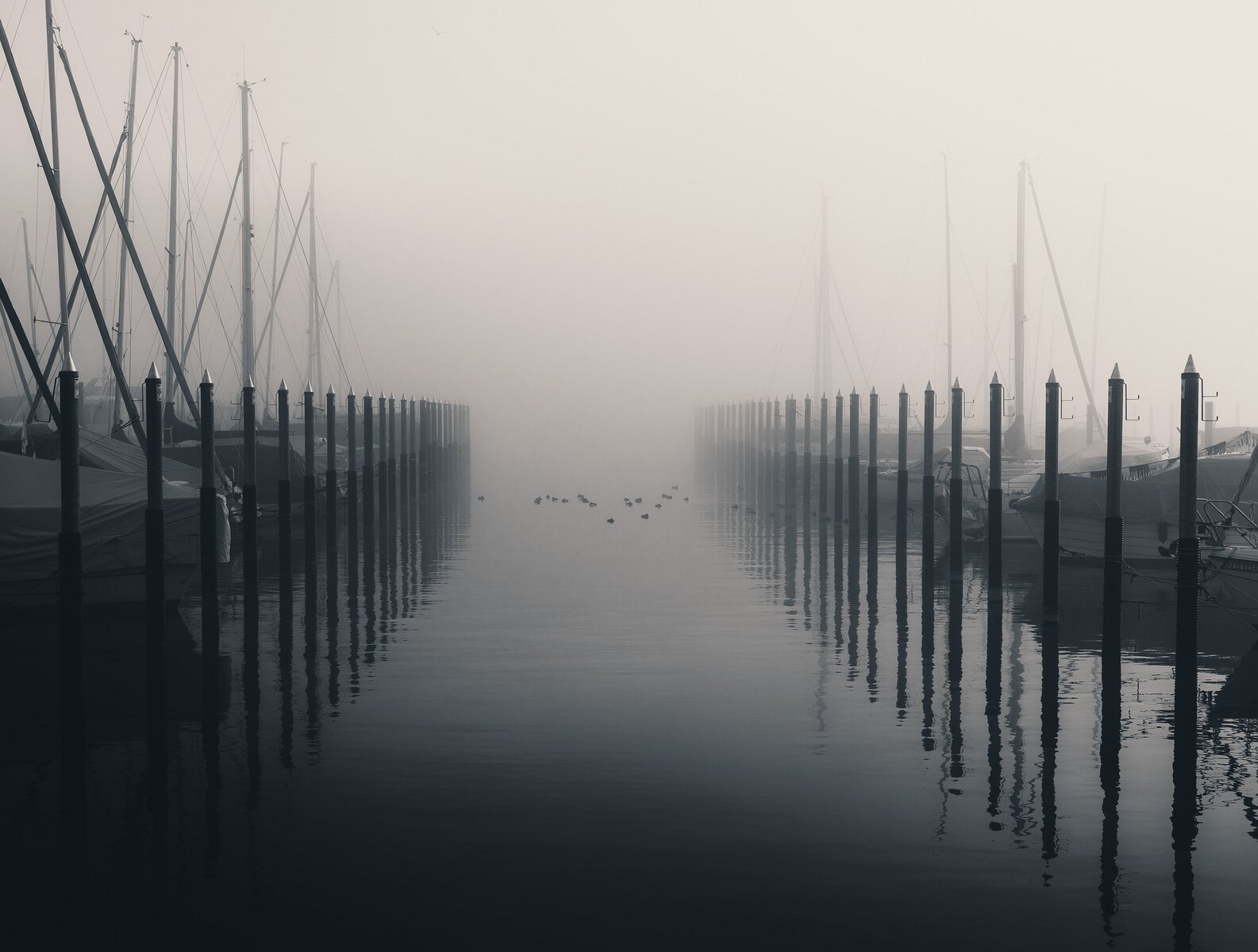 _D854933 