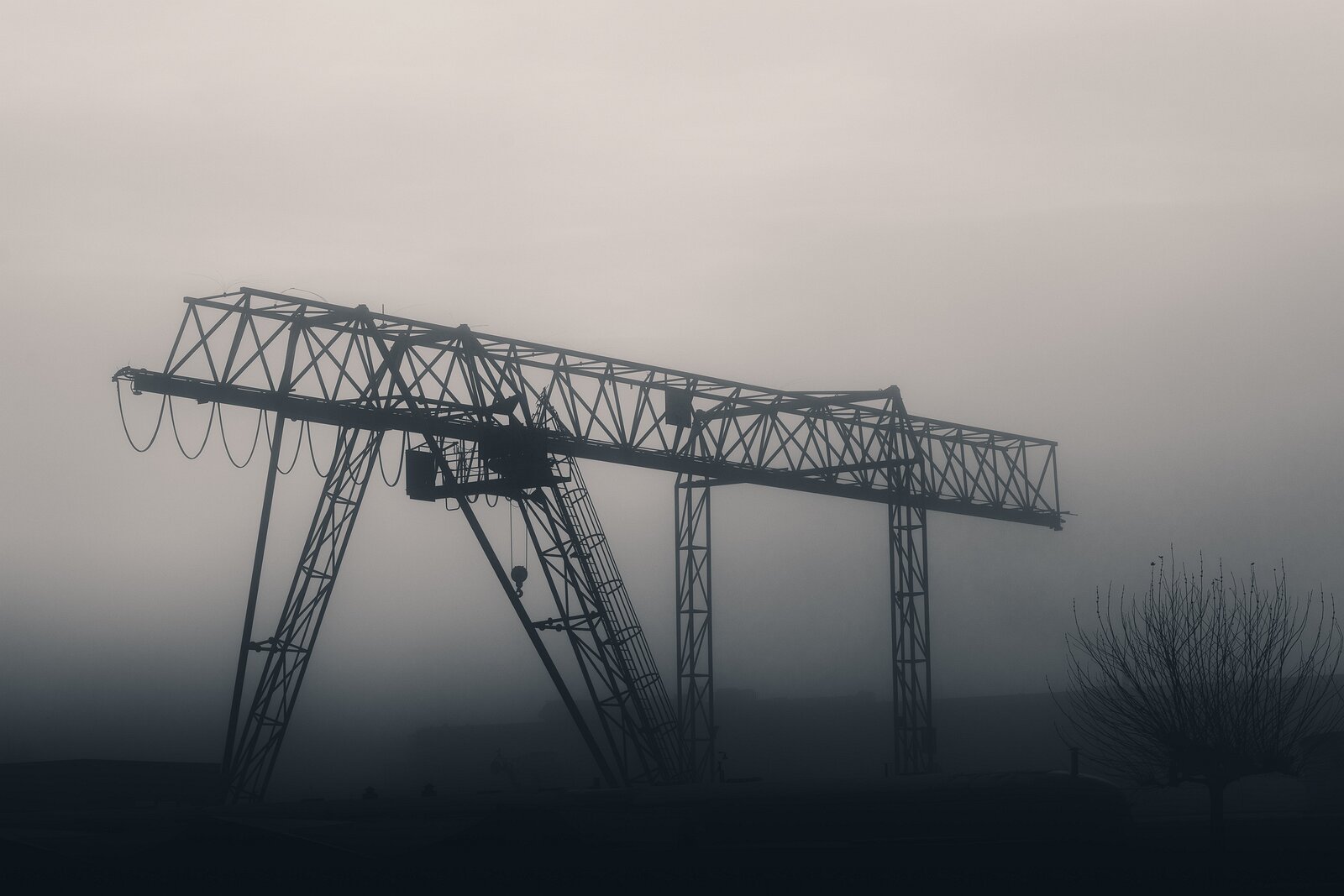 _D854946 