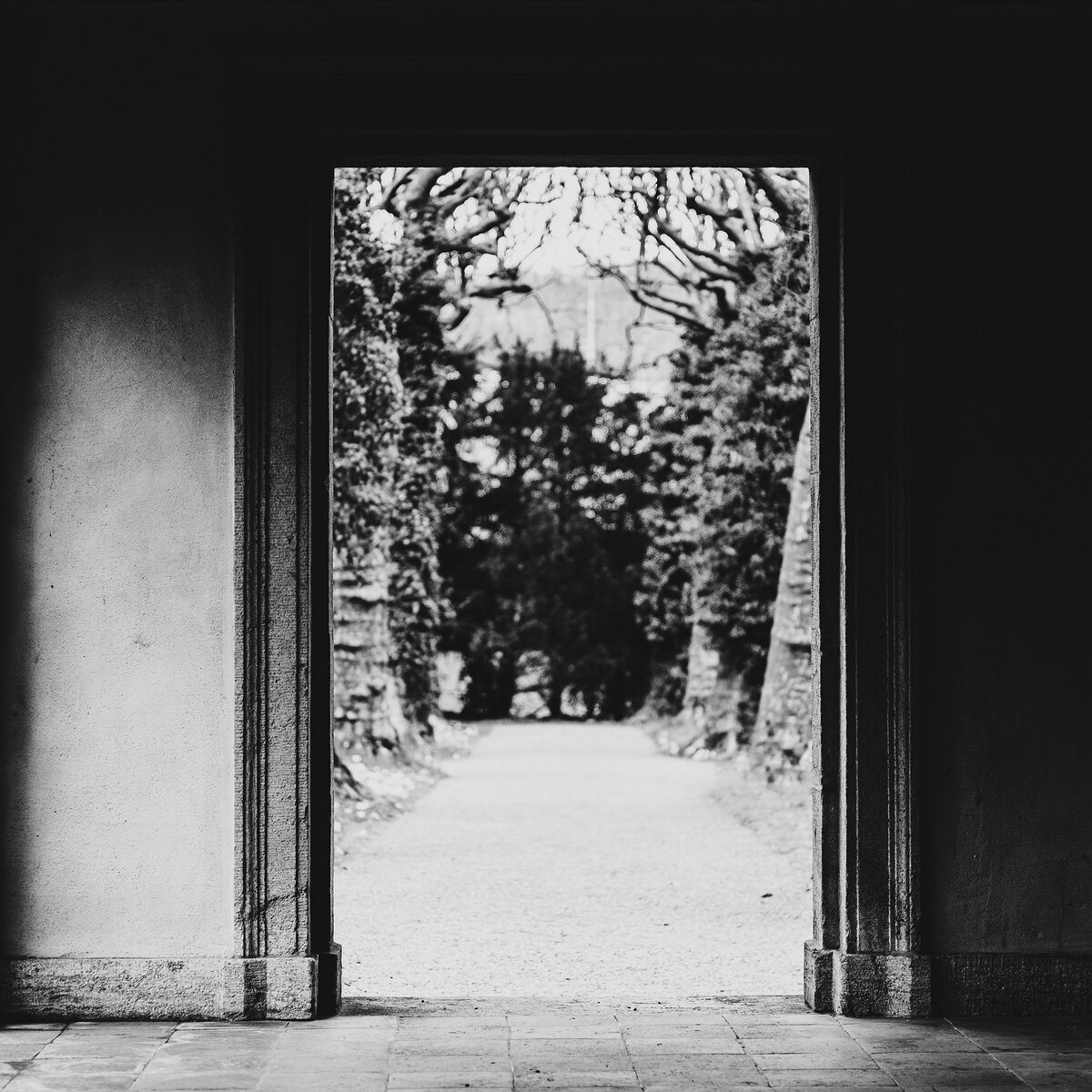 _D859415e 