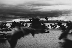_D852635