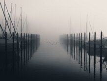 _D854933