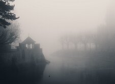 _D855061
