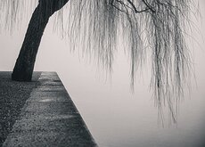 _NZ95651e