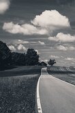 _NZ95717