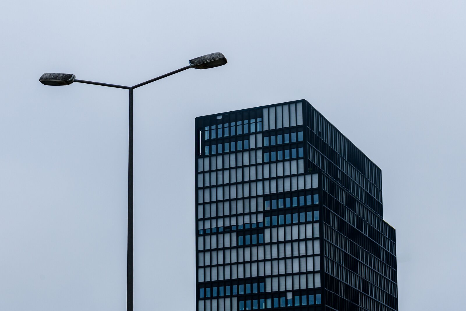 Monochrome Mood Streetlight frames a tall grid-patterned glass tower against an overcast urban sky.