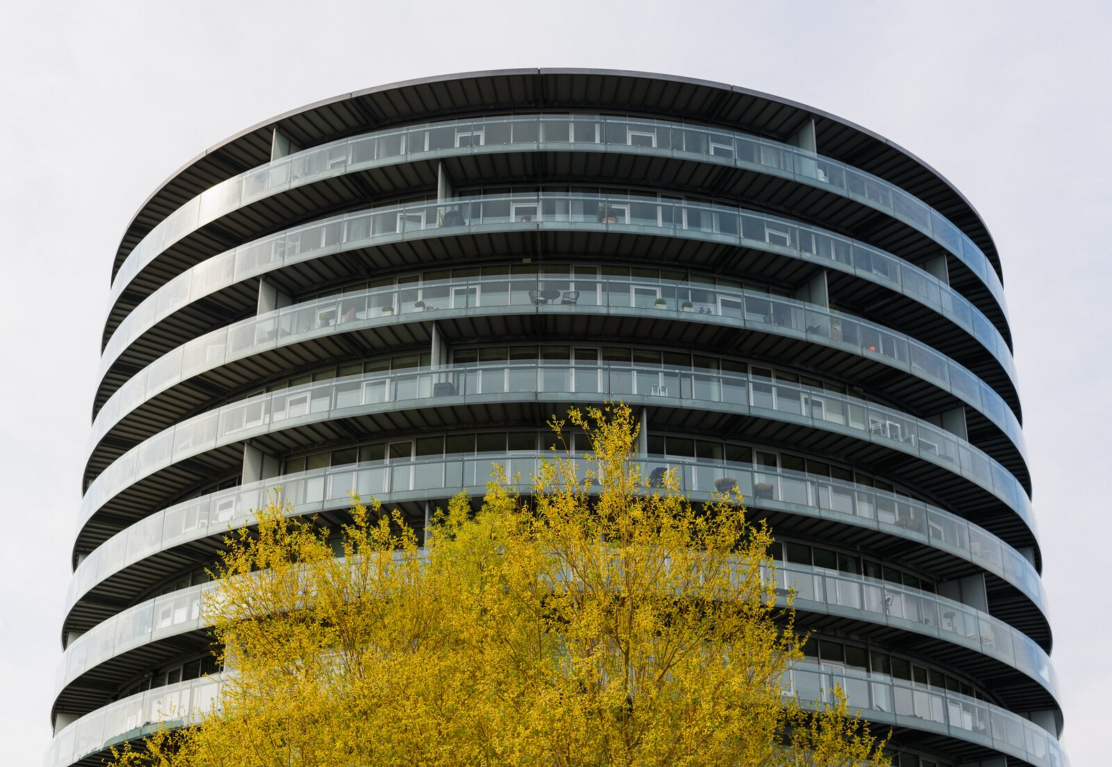 Balcony Rings Round glass-balconied tower of Gemini Residence rises behind a budding tree on a spring day in Copenhagen.