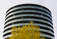 _D850035