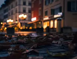 Before the Lights Fade A tranquil dawn street photograph capturing fallen autumn leaves on cobblestones beneath the soft glow of early café lights. Warm tones meet the cool morning...