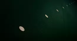 Measured Distance Repetition slipping into the dark.