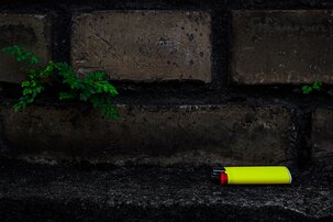 Color Pop Small green plant sprouts from a dark brick wall beside a bright yellow lighter on the ledge.