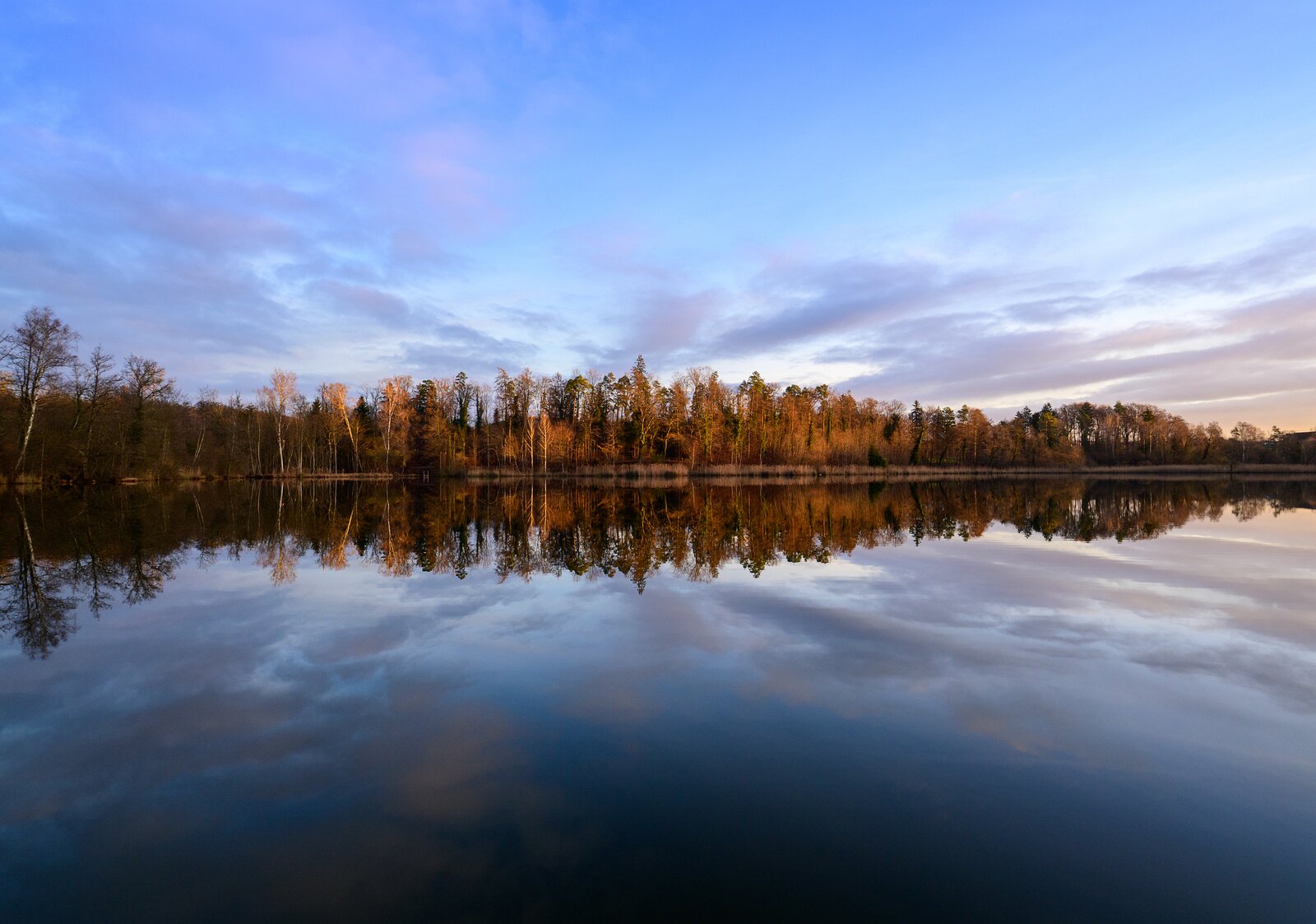 Mirror Lake Tranquil lake perfectly reflecting a line of sunlit autumn trees beneath a blue sky.