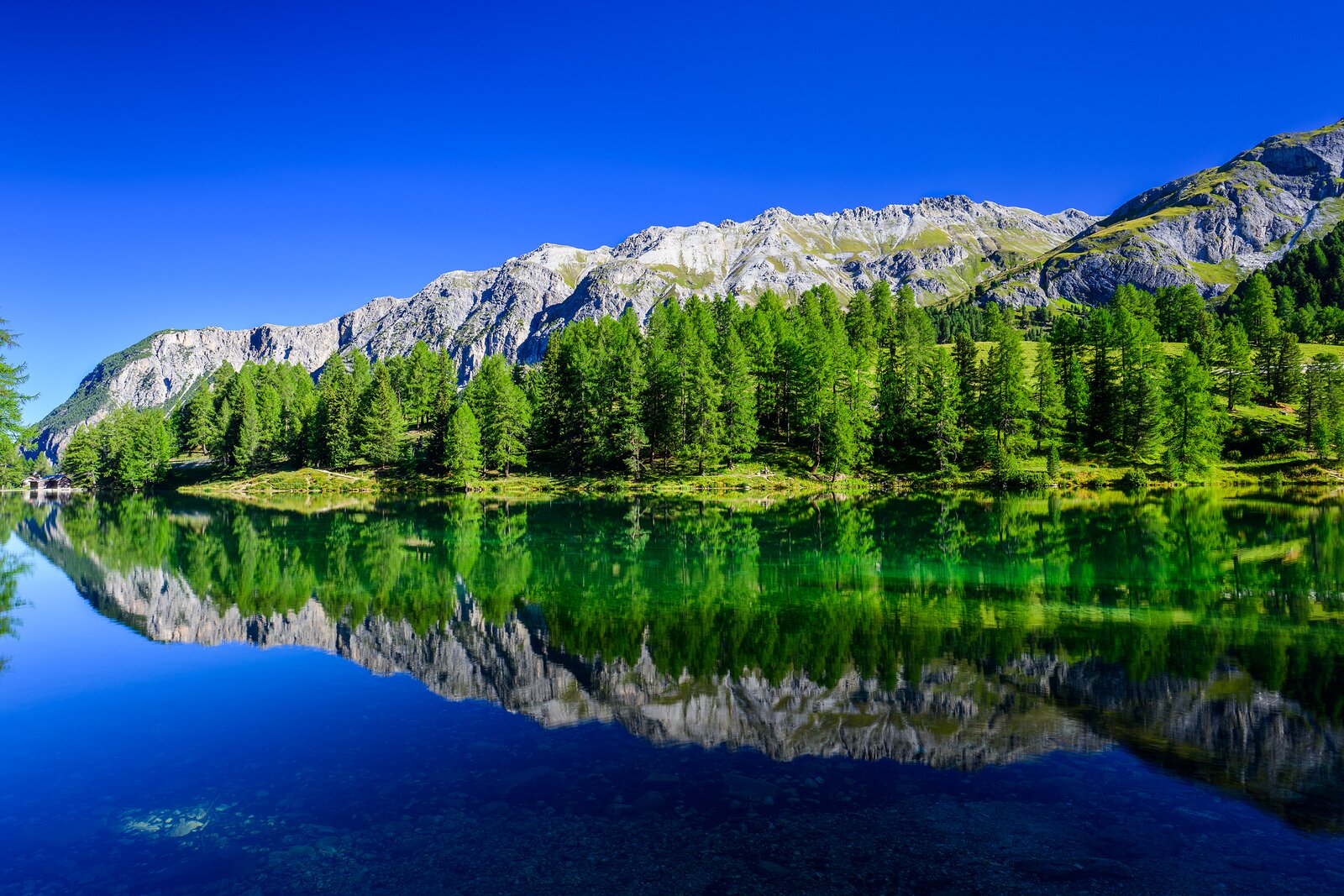 Alpine Jewel Crystal-clear alpine lake reflecting emerald pines and rugged gray peaks.