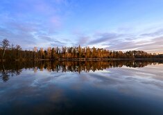 _DSC4733