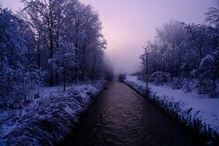 _NZ91091e