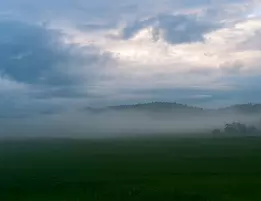 Whisper of Dawn Landscape photograph of a misty field at dawn, with soft fog drifting over green grass and distant tree lines beneath a moody blue-gray sky. The scene feels...