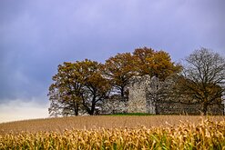 _NZ97378e