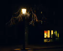 The Lamp and the Silence Night photograph of a glowing street lamp illuminating bare tree branches, with a bicycle silhouetted in front of a softly lit window in the background.