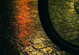 Wheel of Light The shadow of a bicycle wheel cuts through glowing cobblestones, where warm reflections shimmer like molten color. A familiar street corner becomes a painterly...