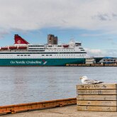 Seagull Watch Seagull on a wooden crate with Nordic cruise ship docked in Oslo harbor.
