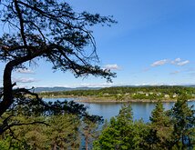Fjord Cottages Pine branch frames cottages across Oslofjord from a hillside viewpoint in Oslo.