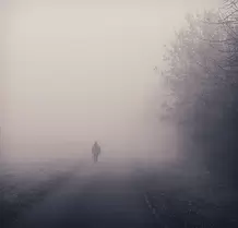 Morning Quietude A peaceful Saturday morning walk through mist and silence - a serene moment capturing the calm before the world awakens.