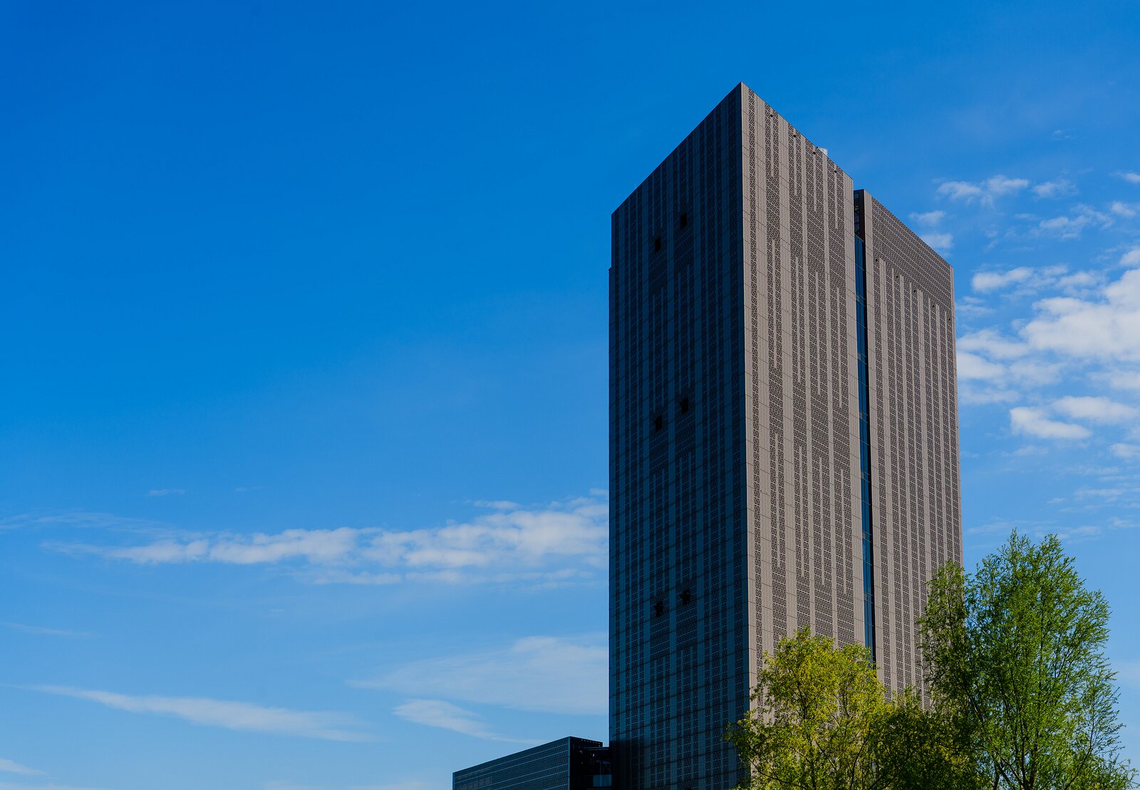 Vertical Giant Tall modern office tower rises against a clear blue Amsterdam sky.