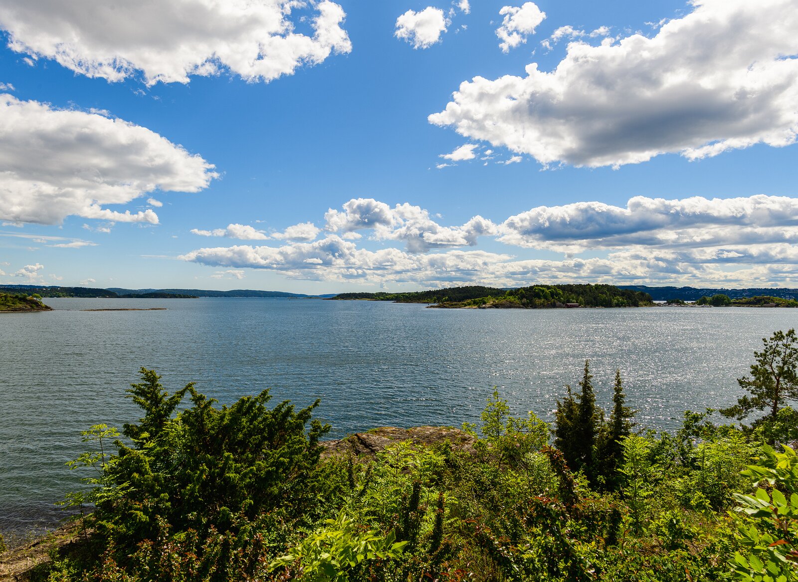 Fjord Vista Wide summer view across Oslofjord from a green shoreline in Oslo.