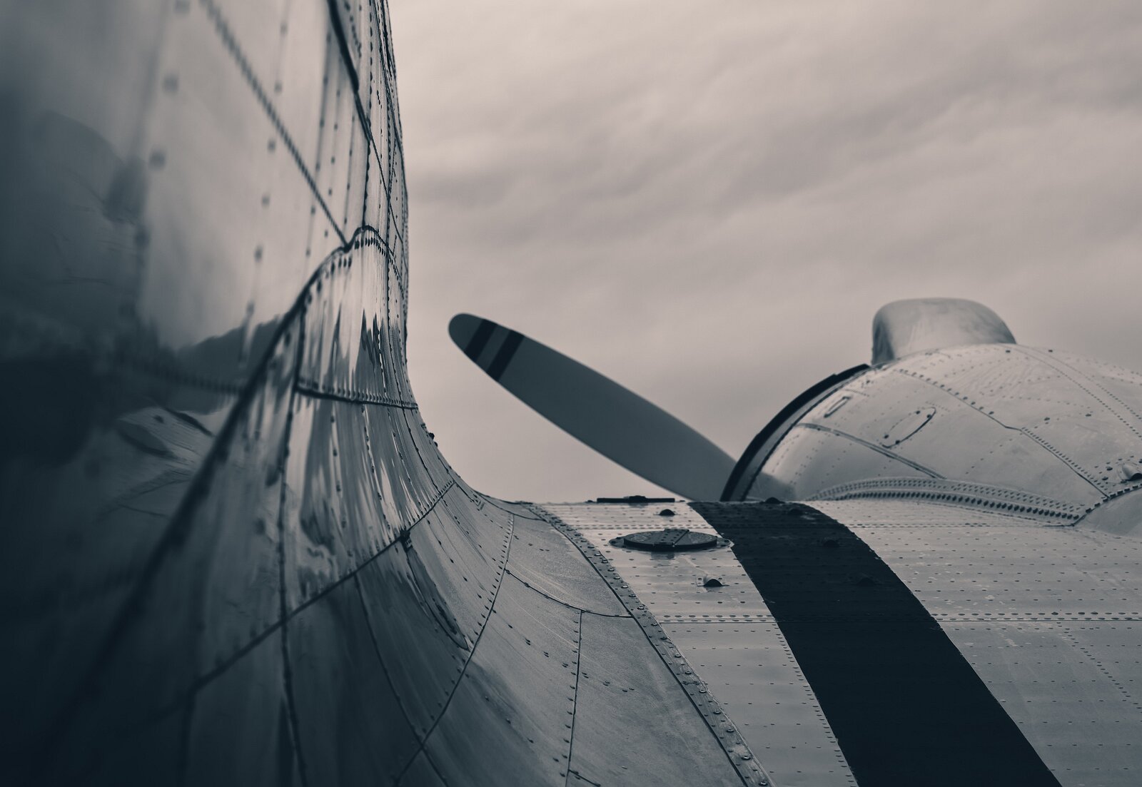 Riveted Grace A close-up shows the curved body and rivets of a vintage propeller plane.