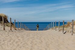 Seaside Escape A barefoot figure walks down a sandy path toward the calm ocean horizon.