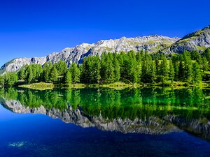 Landscape Scenes from the natural world, focusing on atmosphere, space, and the sense of place.